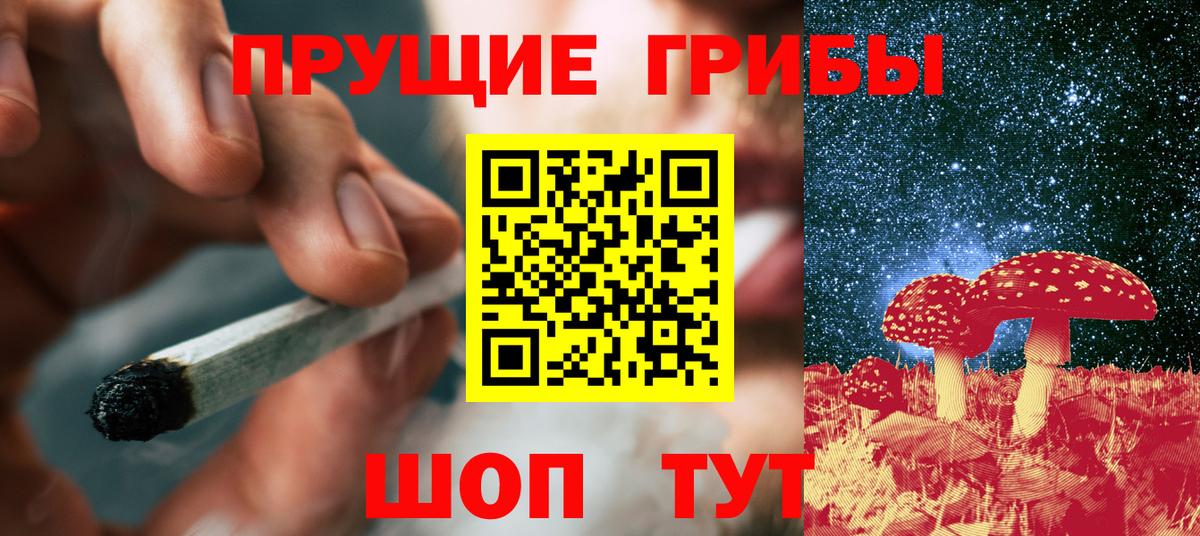 Псилоцибиновые грибы Psilocybine cubensis Лысьва